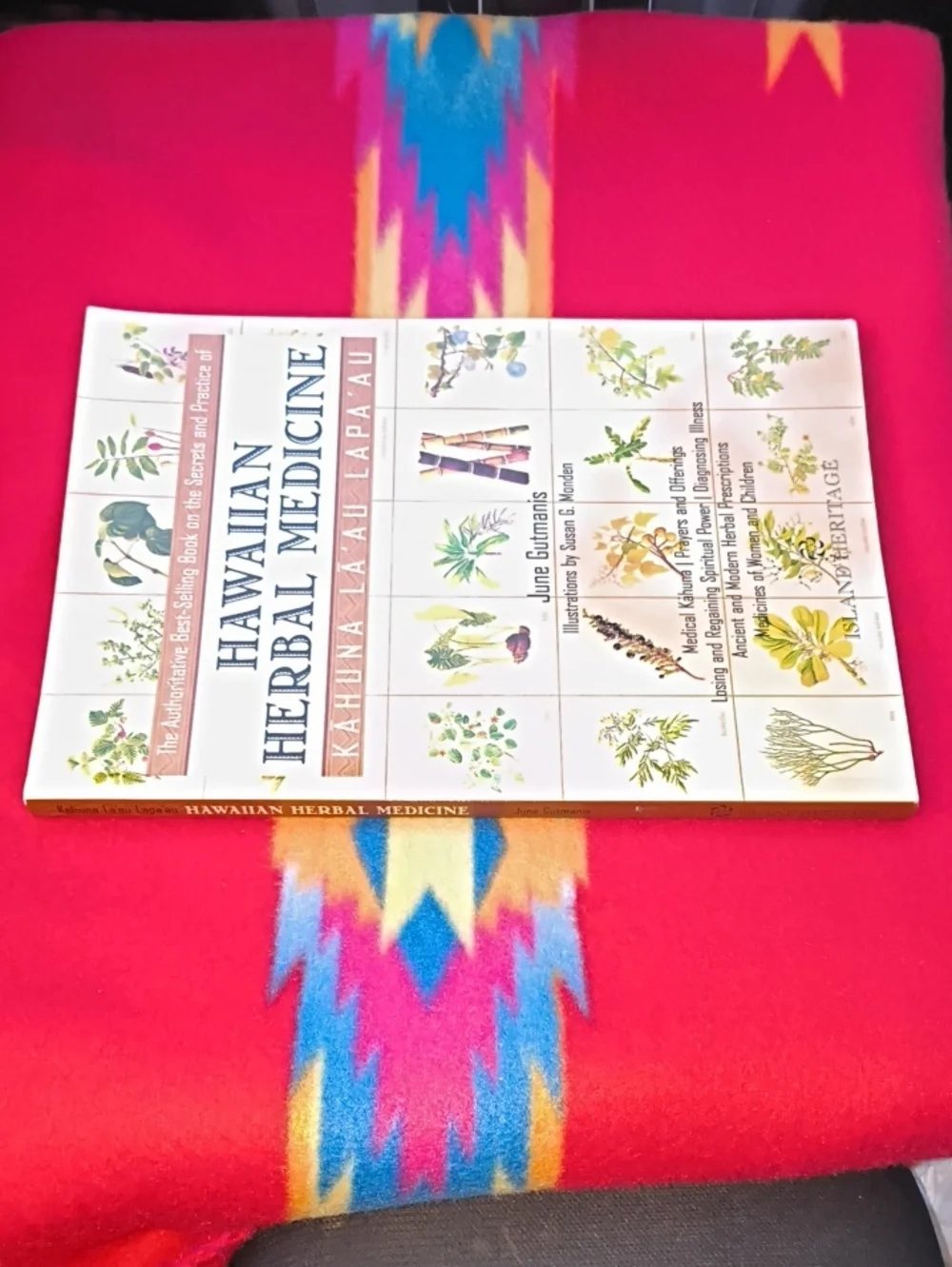 KahunaA La'au Lapa'au: Hawaiian Herbal Medicine - June Gutmanis PB